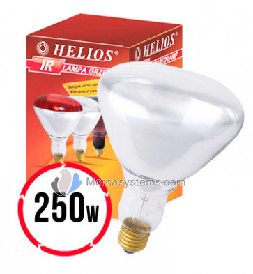 Helios Infrared Lamp (Lámpara infrarroja calentadora para la cría) Para palomas y pájaros