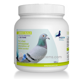 Suplementos, productos y vitaminas para palomas: PHP Amino Build 500gr, (concentrado de aminoácidos de absorción inmediata)