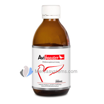 Energéticos para palomas: AviMedica Avibooster 250ml, (energético de alto rendimiento)