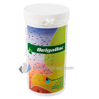 Belgica De Weerd BelgaBac 300gr (probiótico + electrolitos). Para palomas y pájaros 
