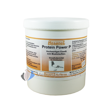 productos para palomas: Hesanol Protein Power P 500gr, (polen de abeja)