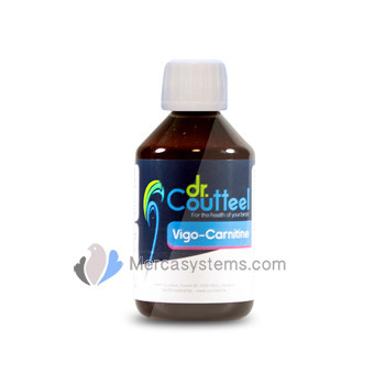Dr Coutteel Vigo-Carnitine 250 ml, (L-carnitina líquida enriquecida). Para Palomas de competición