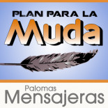 Plan de Muda para Palomas Mensajeras