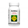 Comed Acibloc 250 gr  (revitalizante muscular - ácido láctico)