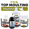 Pack Prowins Top Moulting Pigeons, (todo comienza con una muda excelente)